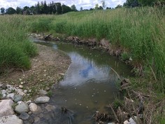 7 ways to tell if a Stream Restoration Project is successful
